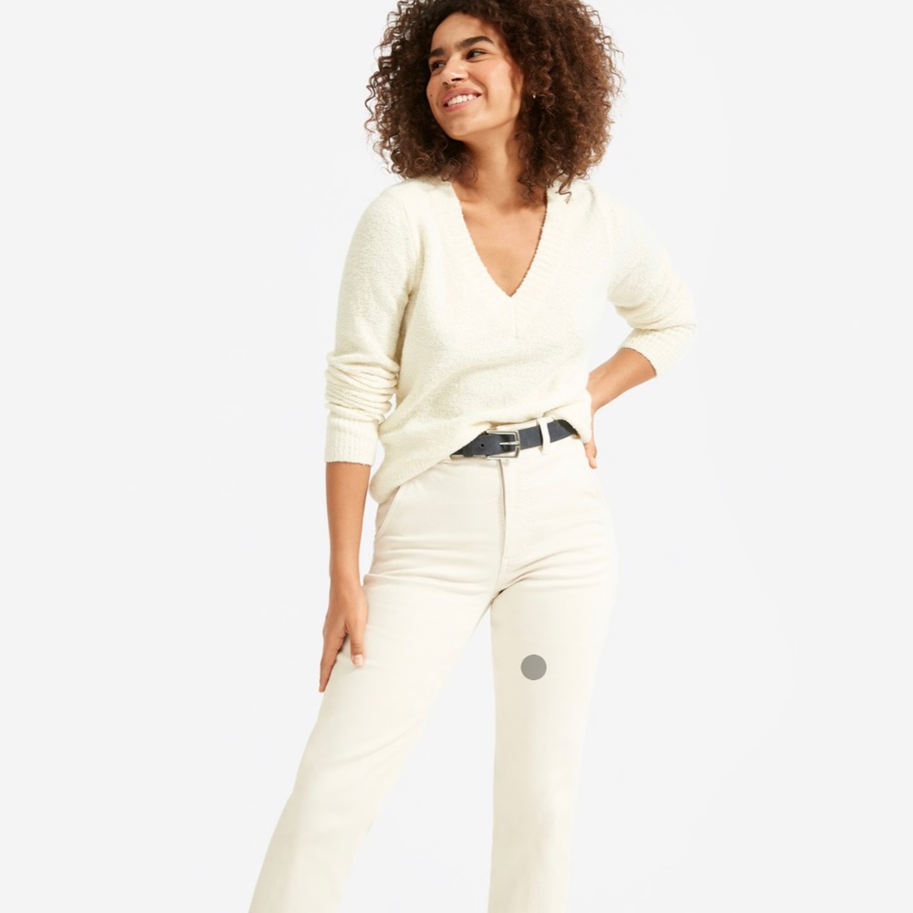 Everlane Teddy V-neck Sweater